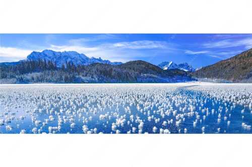 Eisblumen am Barmsee mit Blick zum Wettersteingebirge mit Zugspitzmassiv - Eisrosen - Seitenverhältnis 2,5:1 - Eiskristalle auf Barmsee - weitere Infos unter https://www.kriner-weiermann.de