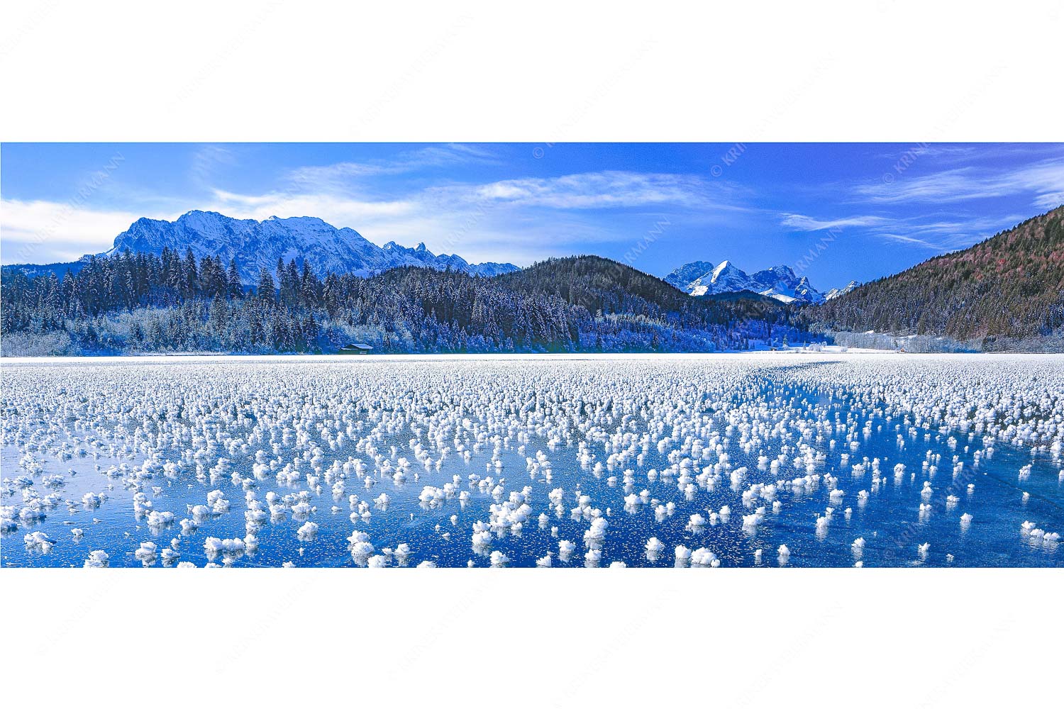 Eisrosen – Seitenverhältnis 2,5:1 — Eiskristalle auf Barmsee Eisblumen am Barmsee mit Blick zum Wettersteingebirge mit Zugspitzmassiv
