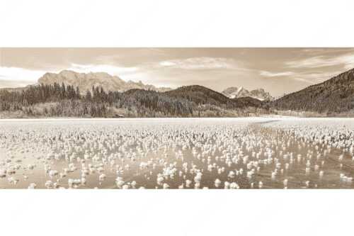 Eisblumen am Barmsee mit Blick zum Wettersteingebirge mit Zugspitzmassiv - Eisrosen - Seitenverhältnis 2,5:1 - Eiskristalle auf Barmsee - weitere Infos unter https://www.kriner-weiermann.de