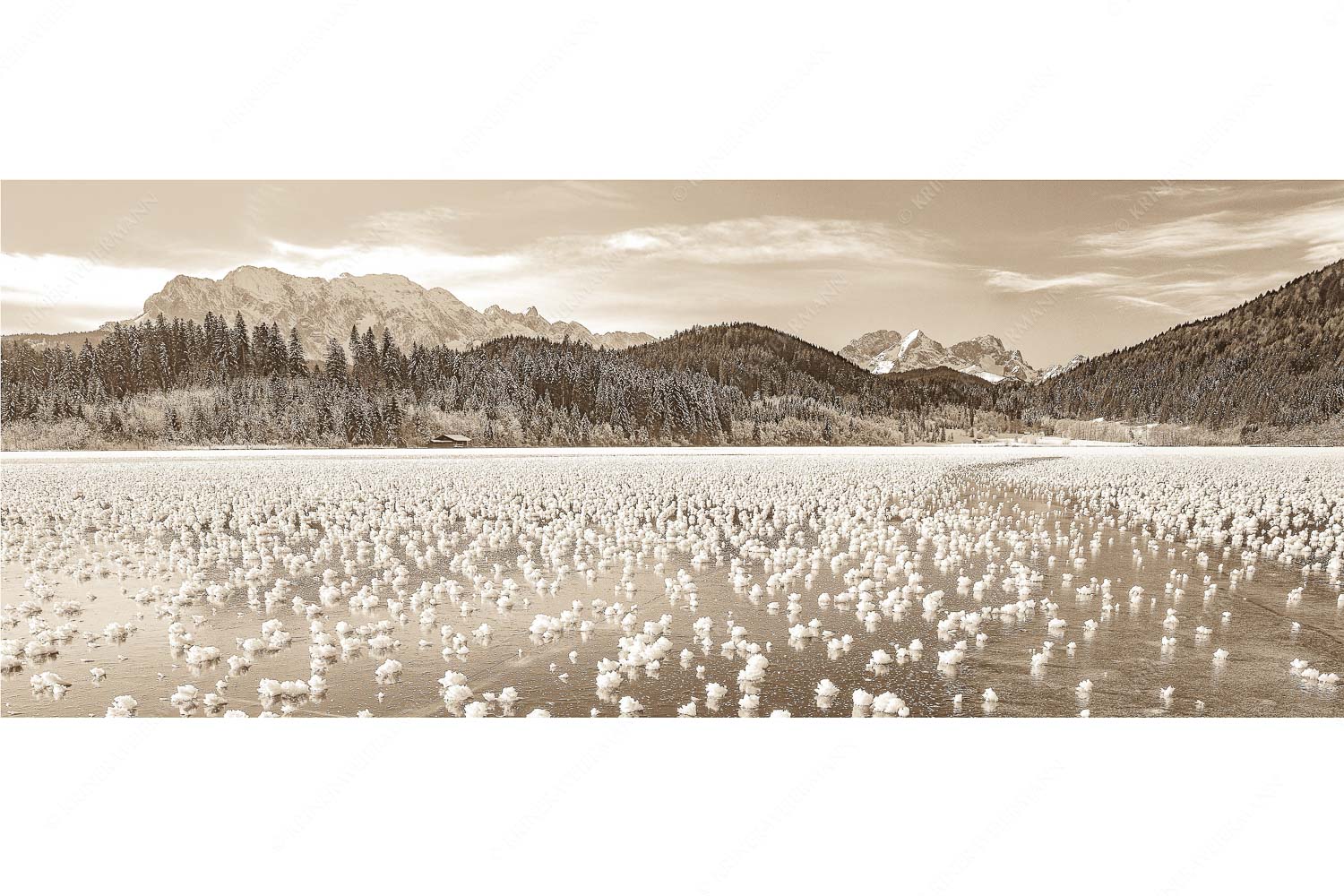 Eisrosen – Seitenverhältnis 2,5:1 — Eiskristalle auf Barmsee Eisblumen am Barmsee mit Blick zum Wettersteingebirge mit Zugspitzmassiv