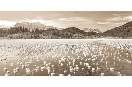 Eisblumen am Barmsee mit Blick zum Wettersteingebirge mit Zugspitzmassiv - Eisrosen - Seitenverhältnis 2:1 - Eiskristalle auf Barmsee - weitere Infos unter https://www.kriner-weiermann.de