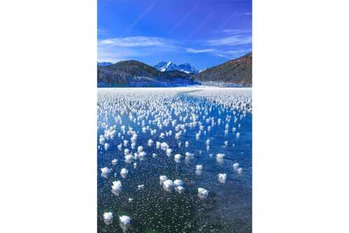 Eisblumen am Barmsee mit Blick zum Wettersteingebirge mit Zugspitzmassiv - Eisrosen - Seitenverhältnis 2:3 - Eiskristalle auf Barmsee - weitere Infos unter https://www.kriner-weiermann.de