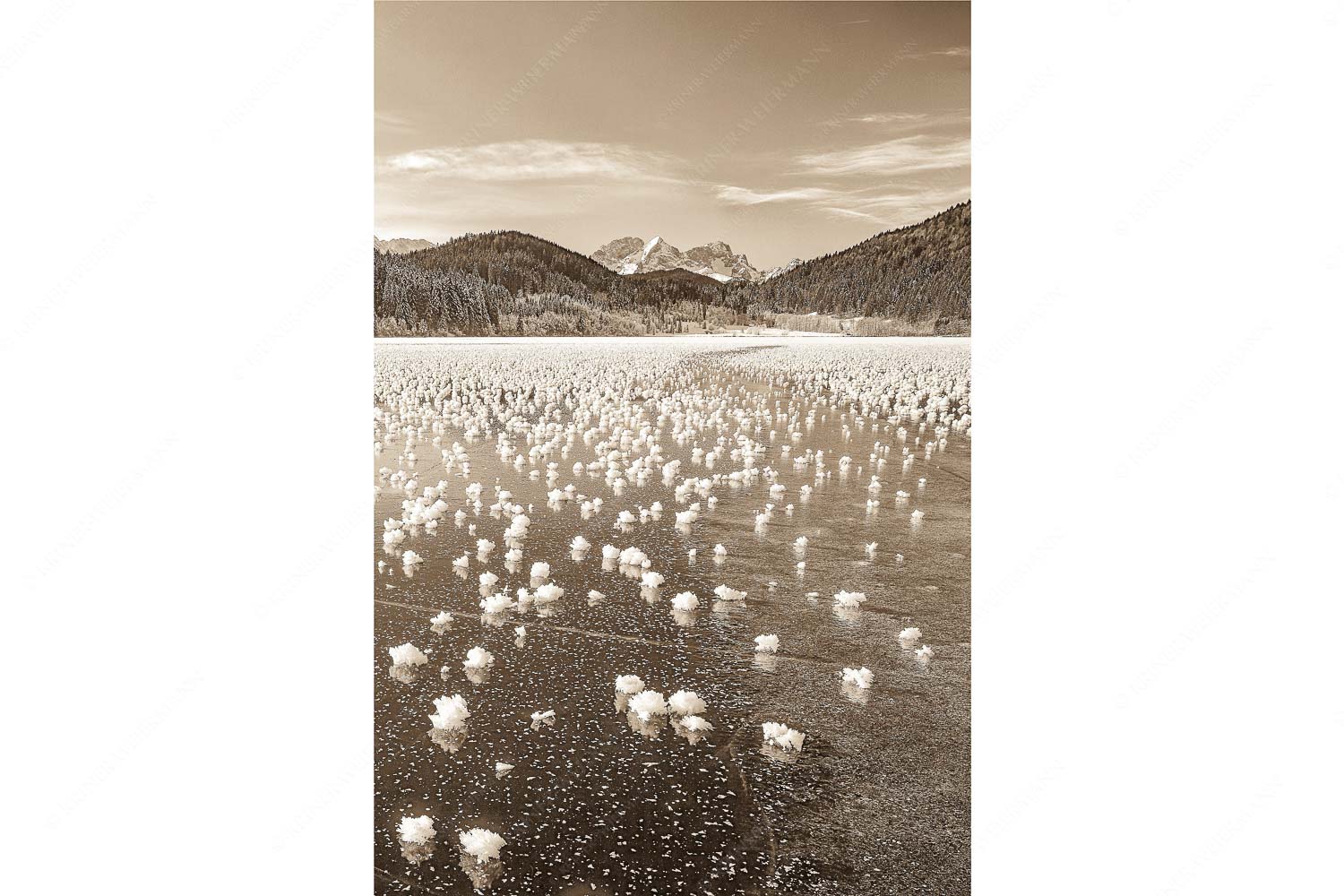 Eisblumen am Barmsee mit Blick zum Wettersteingebirge mit Zugspitzmassiv