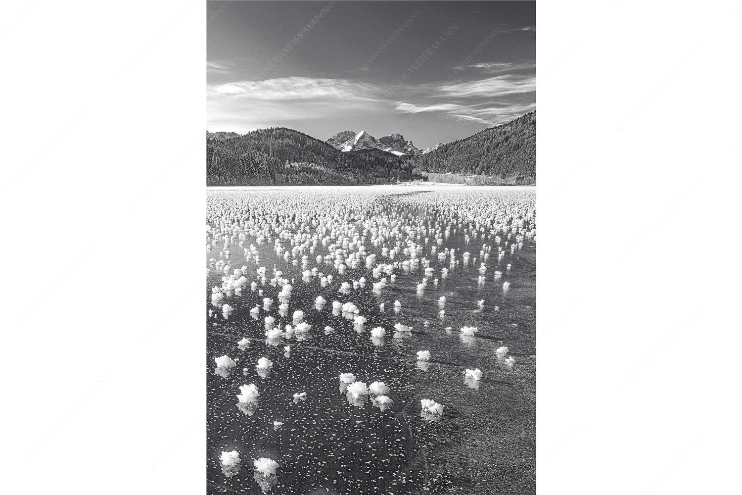 Eisblumen am Barmsee mit Blick zum Wettersteingebirge mit Zugspitzmassiv