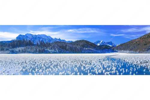 Eisblumen am Barmsee mit Blick zum Wettersteingebirge mit Zugspitzmassiv - Eisrosen - Seitenverhältnis 3:1 - Eiskristalle auf Barmsee - weitere Infos unter https://www.kriner-weiermann.de