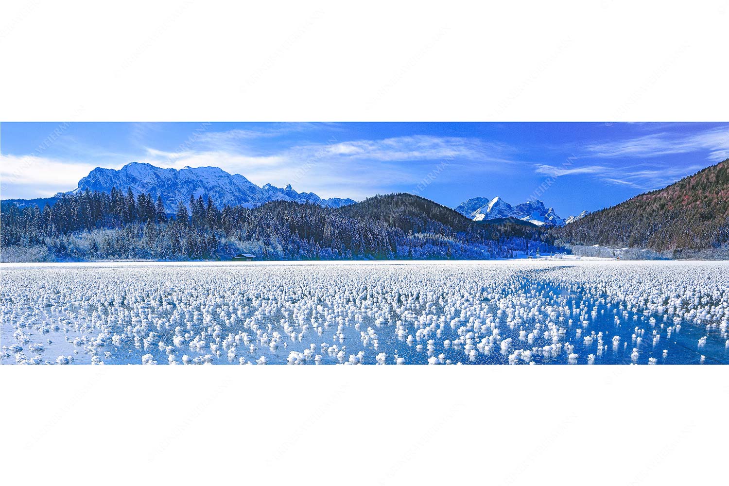 Eisrosen – Seitenverhältnis 3:1 — Eiskristalle auf Barmsee Eisblumen am Barmsee mit Blick zum Wettersteingebirge mit Zugspitzmassiv