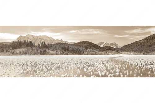 Eisblumen am Barmsee mit Blick zum Wettersteingebirge mit Zugspitzmassiv - Eisrosen - Seitenverhältnis 3:1 - Eiskristalle auf Barmsee - weitere Infos unter https://www.kriner-weiermann.de