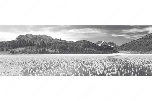 Eisblumen am Barmsee mit Blick zum Wettersteingebirge mit Zugspitzmassiv - Eisrosen - Seitenverhältnis 3:1 - Eiskristalle auf Barmsee - weitere Infos unter https://www.kriner-weiermann.de