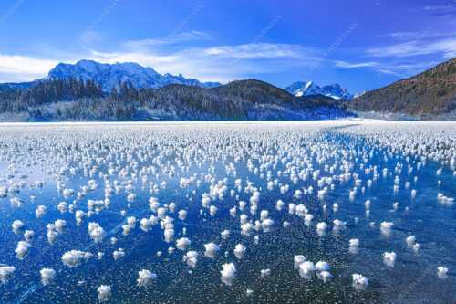 Eisblumen am Barmsee mit Blick zum Wettersteingebirge mit Zugspitzmassiv - Eisrosen - Seitenverhältnis 3:2 - Eiskristalle auf Barmsee - weitere Infos unter https://www.kriner-weiermann.de