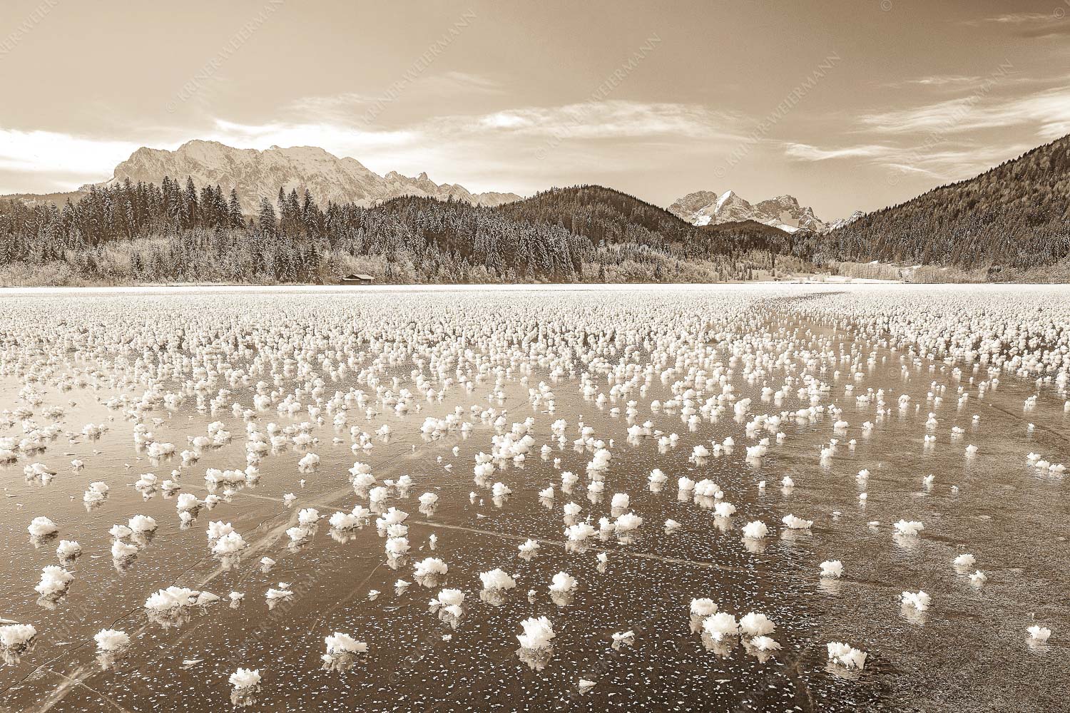 Eisrosen – Seitenverhältnis 3:2 — Eiskristalle auf Barmsee Eisblumen am Barmsee mit Blick zum Wettersteingebirge mit Zugspitzmassiv