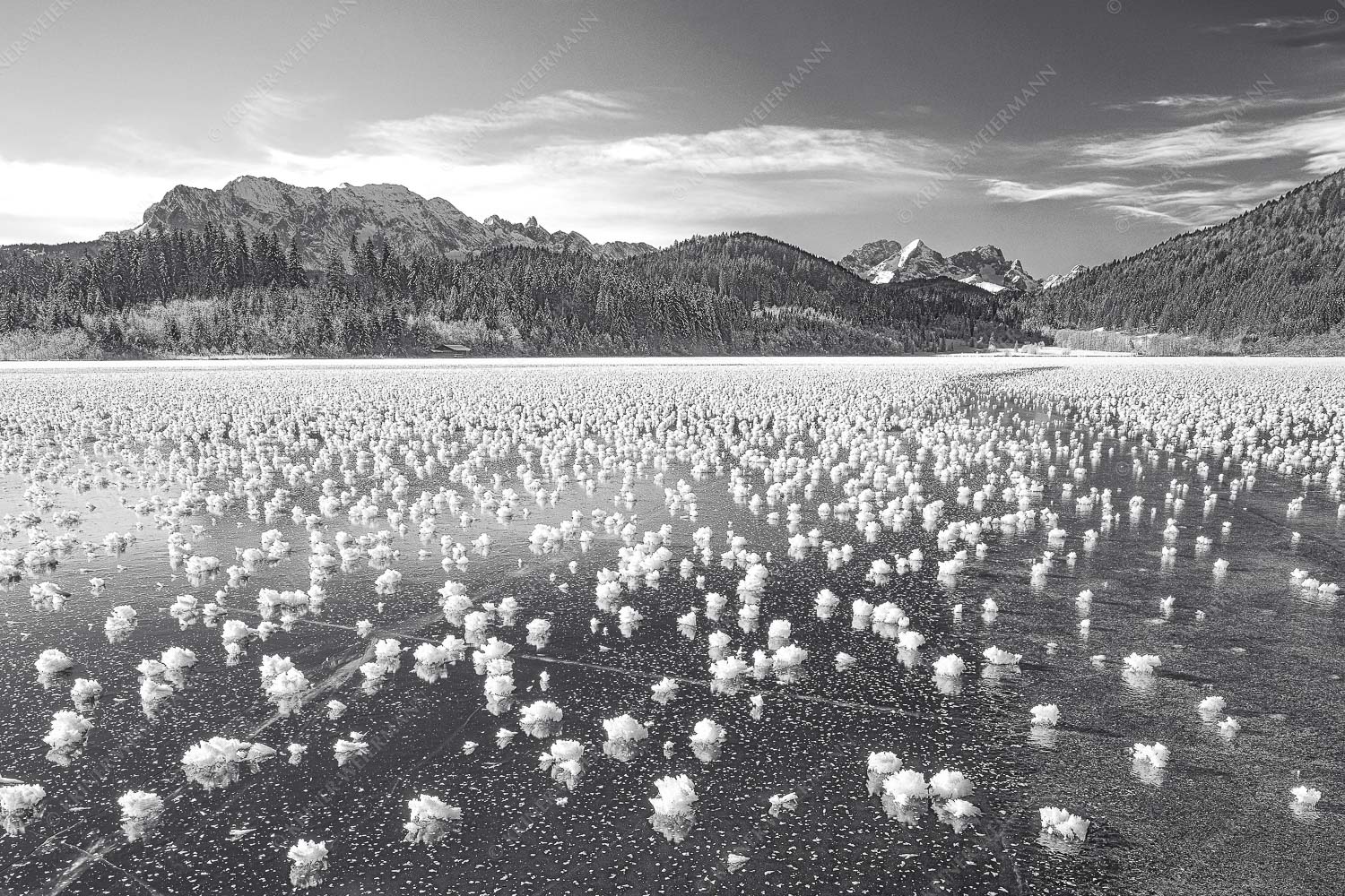 Eisrosen – Seitenverhältnis 3:2 — Eiskristalle auf Barmsee Eisblumen am Barmsee mit Blick zum Wettersteingebirge mit Zugspitzmassiv