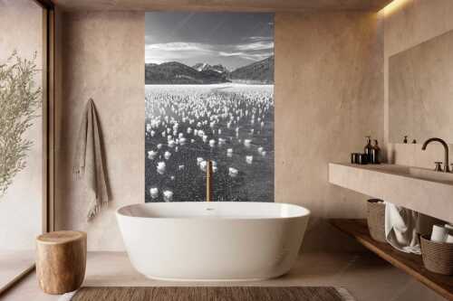 Eisblumen am Barmsee mit Blick zum Wettersteingebirge mit Zugspitzmassiv - Eisrosen - Größe ca. 160x240cm, Seitenverhältnis 2:3 - Eiskristalle auf Barmsee - weitere Infos unter https://www.kriner-weiermann.de