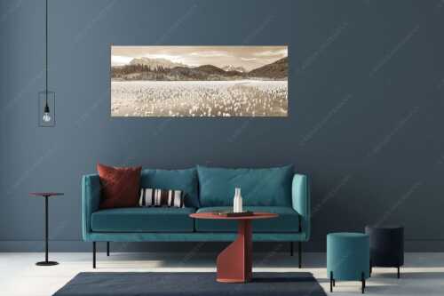Eisblumen am Barmsee mit Blick zum Wettersteingebirge mit Zugspitzmassiv - Eisrosen - Größe ca. 175x70cm, Seitenverhältnis 2,5:1 - Eiskristalle auf Barmsee - weitere Infos unter https://www.kriner-weiermann.de