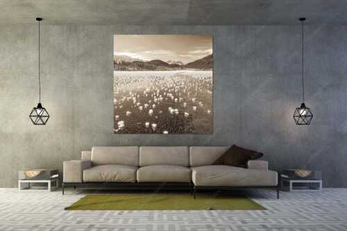 Eisblumen am Barmsee mit Blick zum Wettersteingebirge mit Zugspitzmassiv - Eisrosen - Größe ca. 160x160cm, Seitenverhältnis 1:1 - Eiskristalle auf Barmsee - weitere Infos unter https://www.kriner-weiermann.de