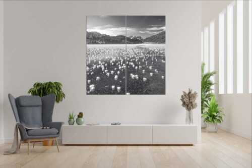 Eisblumen am Barmsee mit Blick zum Wettersteingebirge mit Zugspitzmassiv - Eisrosen - 4er Split, Größe ca. 180x180cm, Seitenverhältnis 1:1 - Eiskristalle auf Barmsee - weitere Infos unter https://www.kriner-weiermann.de