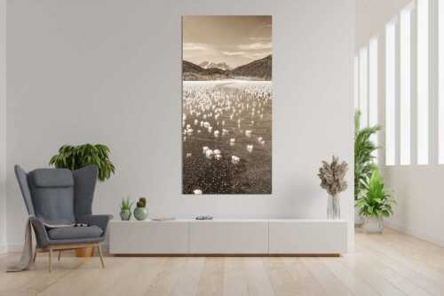 Eisblumen am Barmsee mit Blick zum Wettersteingebirge mit Zugspitzmassiv - Eisrosen - Größe ca. 90x180cm, Seitenverhältnis 1:2 - Eiskristalle auf Barmsee - weitere Infos unter https://www.kriner-weiermann.de