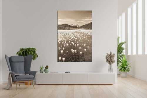 Eisblumen am Barmsee mit Blick zum Wettersteingebirge mit Zugspitzmassiv - Eisrosen - Größe ca. 120x180cm, Seitenverhältnis 2:3 - Eiskristalle auf Barmsee - weitere Infos unter https://www.kriner-weiermann.de