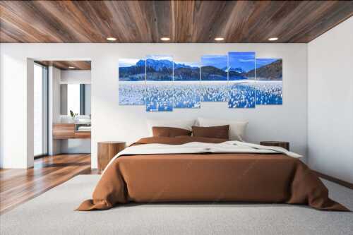 Eisblumen am Barmsee mit Blick zum Wettersteingebirge mit Zugspitzmassiv - Eisrosen - 6er Split, Größe ca. 280x112cm, Seitenverhältnis 2,5:1 - Eiskristalle auf Barmsee - weitere Infos unter https://www.kriner-weiermann.de