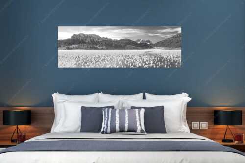 Eisblumen am Barmsee mit Blick zum Wettersteingebirge mit Zugspitzmassiv - Eisrosen - Größe ca. 180x60cm, Seitenverhältnis 3:1 - Eiskristalle auf Barmsee - weitere Infos unter https://www.kriner-weiermann.de