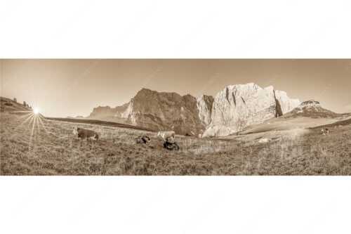 Jungvieh auf der Laliderer Hochlegeralm mit Spritzkar- und Dreizinkenspitze - Entspannter Morgen - Seitenverhältnis 3:1 - Laliderer Hochlegeralm - weitere Infos unter https://www.kriner-weiermann.de