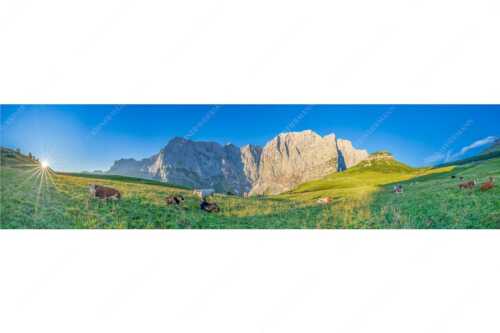 Jungvieh auf der Laliderer Hochlegeralm mit Spritzkar- und Dreizinkenspitze - Entspannter Morgen - Seitenverhältnis 4:1 - Laliderer Hochlegeralm - weitere Infos unter https://www.kriner-weiermann.de