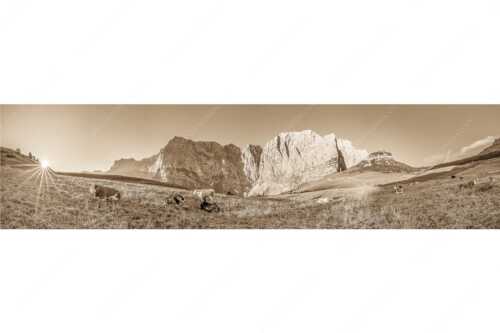 Jungvieh auf der Laliderer Hochlegeralm mit Spritzkar- und Dreizinkenspitze - Entspannter Morgen - Seitenverhältnis 4:1 - Laliderer Hochlegeralm - weitere Infos unter https://www.kriner-weiermann.de