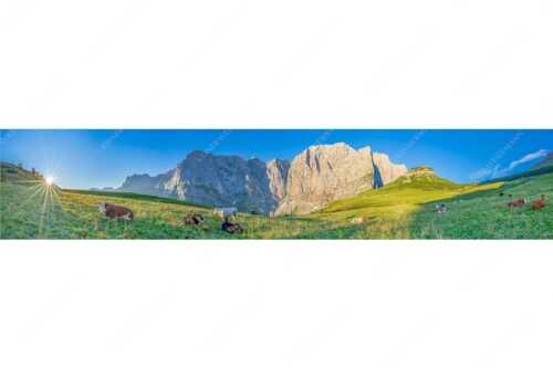 Jungvieh auf der Laliderer Hochlegeralm mit Spritzkar- und Dreizinkenspitze - Entspannter Morgen - Seitenverhältnis 5:1 - Laliderer Hochlegeralm - weitere Infos unter https://www.kriner-weiermann.de