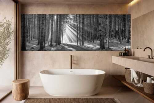 Sonnen-Streiflicher im Wald bei Aidling - Erleuchtung - Größe ca. 300x100cm, Seitenverhältnis 3:1 - Sonnenstrahlen im Wald - weitere Infos unter https://www.kriner-weiermann.de