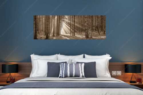 Sonnen-Streiflicher im Wald bei Aidling - Erleuchtung - Größe ca. 180x60cm, Seitenverhältnis 3:1 - Sonnenstrahlen im Wald - weitere Infos unter https://www.kriner-weiermann.de