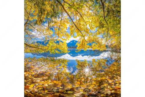 Wenn die Äste mit buntem Laub beinahe das Wasser berühren entstehen traumhafte Bilder - Farbpalette - Seitenverhältnis 1:1 - Barmsee mit Karwendlegebirge - weitere Infos unter https://www.kriner-weiermann.de