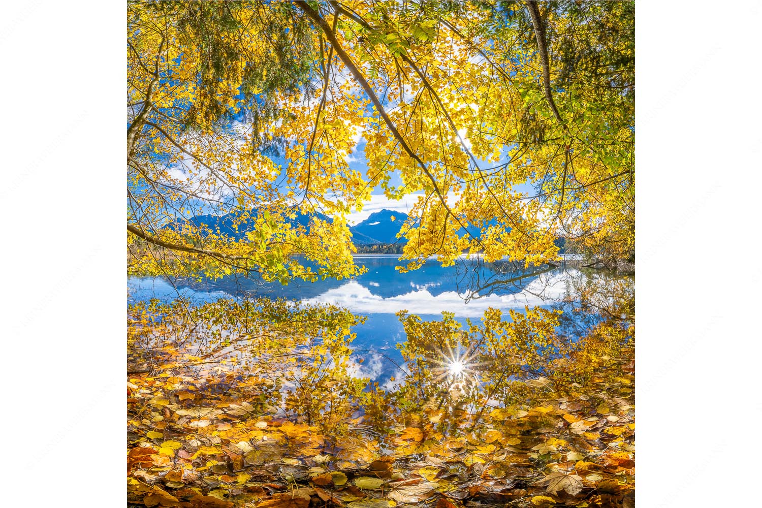Farbpalette – Seitenverhältnis 1:1 — Barmsee mit Karwendlegebirge Wenn die Äste mit buntem Laub beinahe das Wasser berühren entstehen traumhafte Bilder
