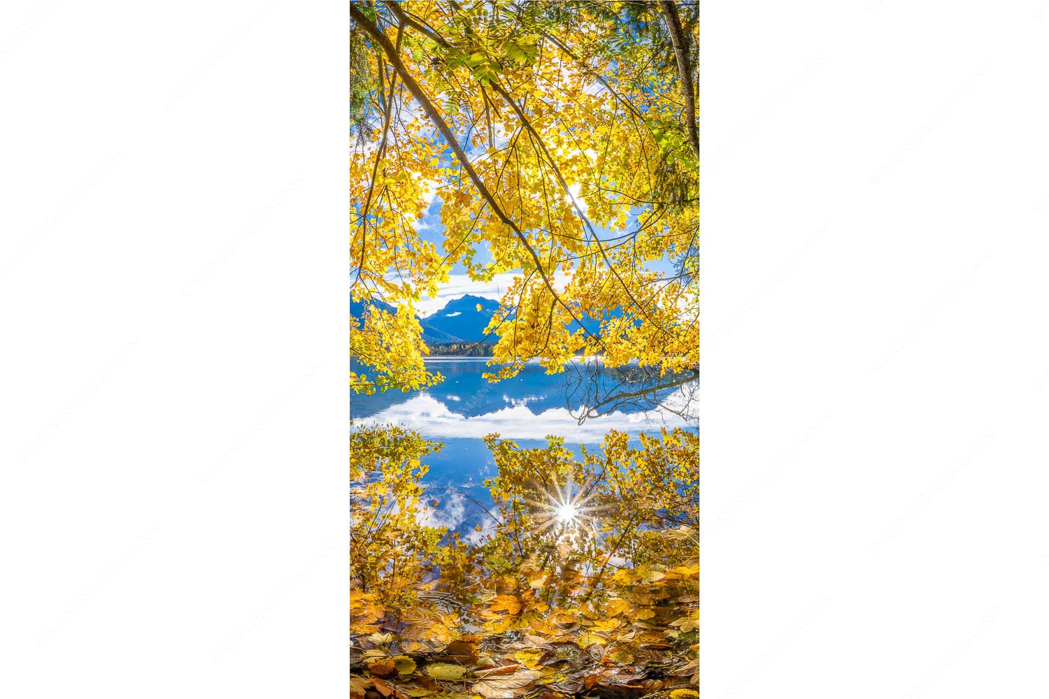 Farbpalette – Seitenverhältnis 1:2 — Barmsee mit Karwendlegebirge Wenn die Äste mit buntem Laub beinahe das Wasser berühren entstehen traumhafte Bilder