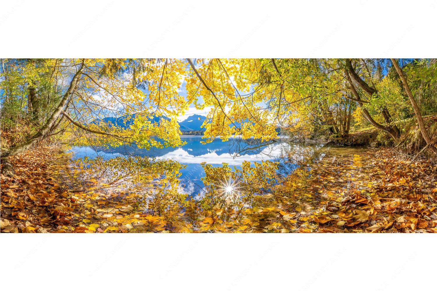 Wenn die Äste mit buntem Laub beinahe das Wasser berühren entstehen traumhafte Bilder