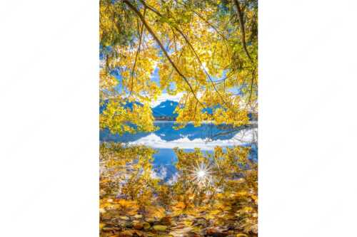 Wenn die Äste mit buntem Laub beinahe das Wasser berühren entstehen traumhafte Bilder - Farbpalette - Seitenverhältnis 2:3 - Barmsee mit Karwendlegebirge - weitere Infos unter https://www.kriner-weiermann.de