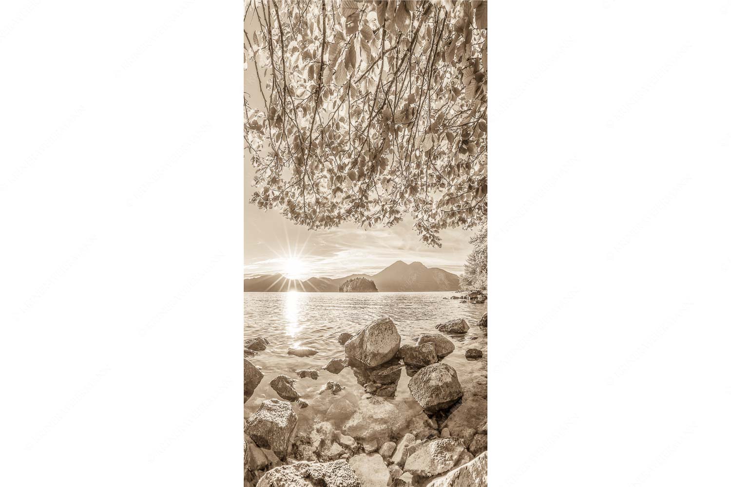 Fenster zum See – Seitenverhältnis 1:2 — Walchensee Insel Sassau mit Estergebirge Blick über den Walchensee mit Insel Sassau zum Sonnenuntergang im Estergebirge