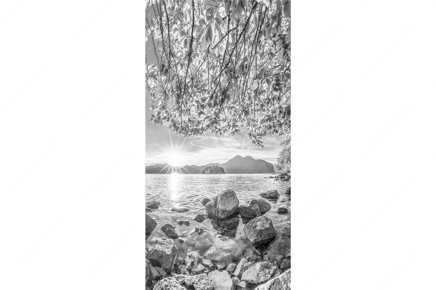 Fenster zum See – Seitenverhältnis 1:2 — Walchensee Insel Sassau mit Estergebirge Blick über den Walchensee mit Insel Sassau zum Sonnenuntergang im Estergebirge