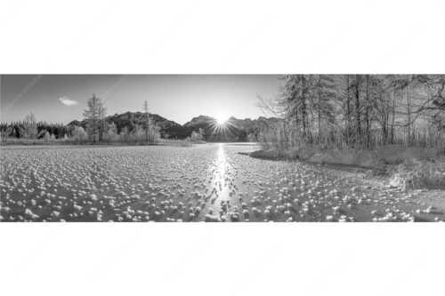 Bei großer Kälte und ohne Niederschlag bilden sich tausende Eisrosen am Barmsee - Filigran - Seitenverhältnis 3:1 - Barmsee mit Karwendel - weitere Infos unter https://www.kriner-weiermann.de