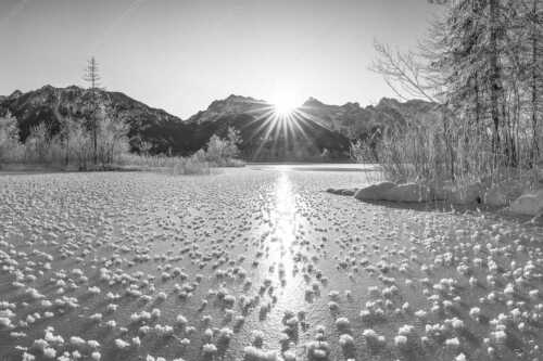 Bei großer Kälte und ohne Niederschlag bilden sich tausende Eisrosen am Barmsee - Filigran - Seitenverhältnis 3:2 - Barmsee mit Karwendel - weitere Infos unter https://www.kriner-weiermann.de