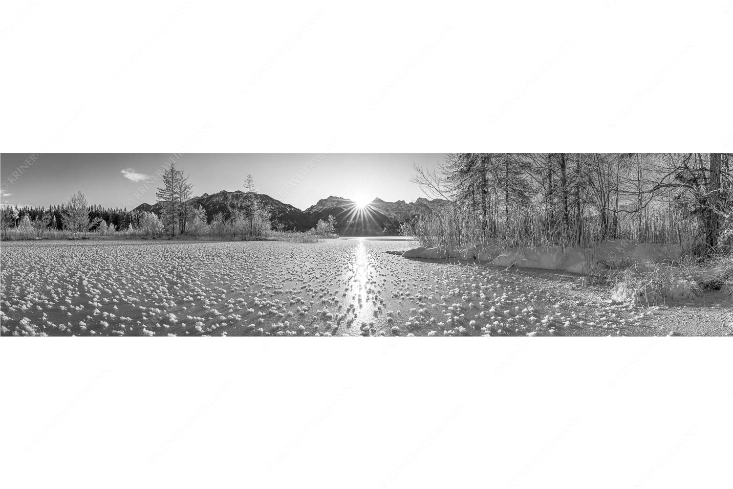 Bei großer Kälte und ohne Niederschlag bilden sich tausende Eisrosen am Barmsee