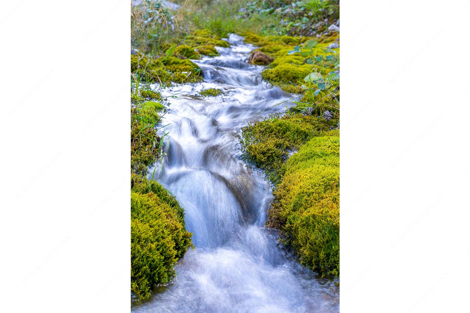Kleiner Quellbach im Karwendelgebirge