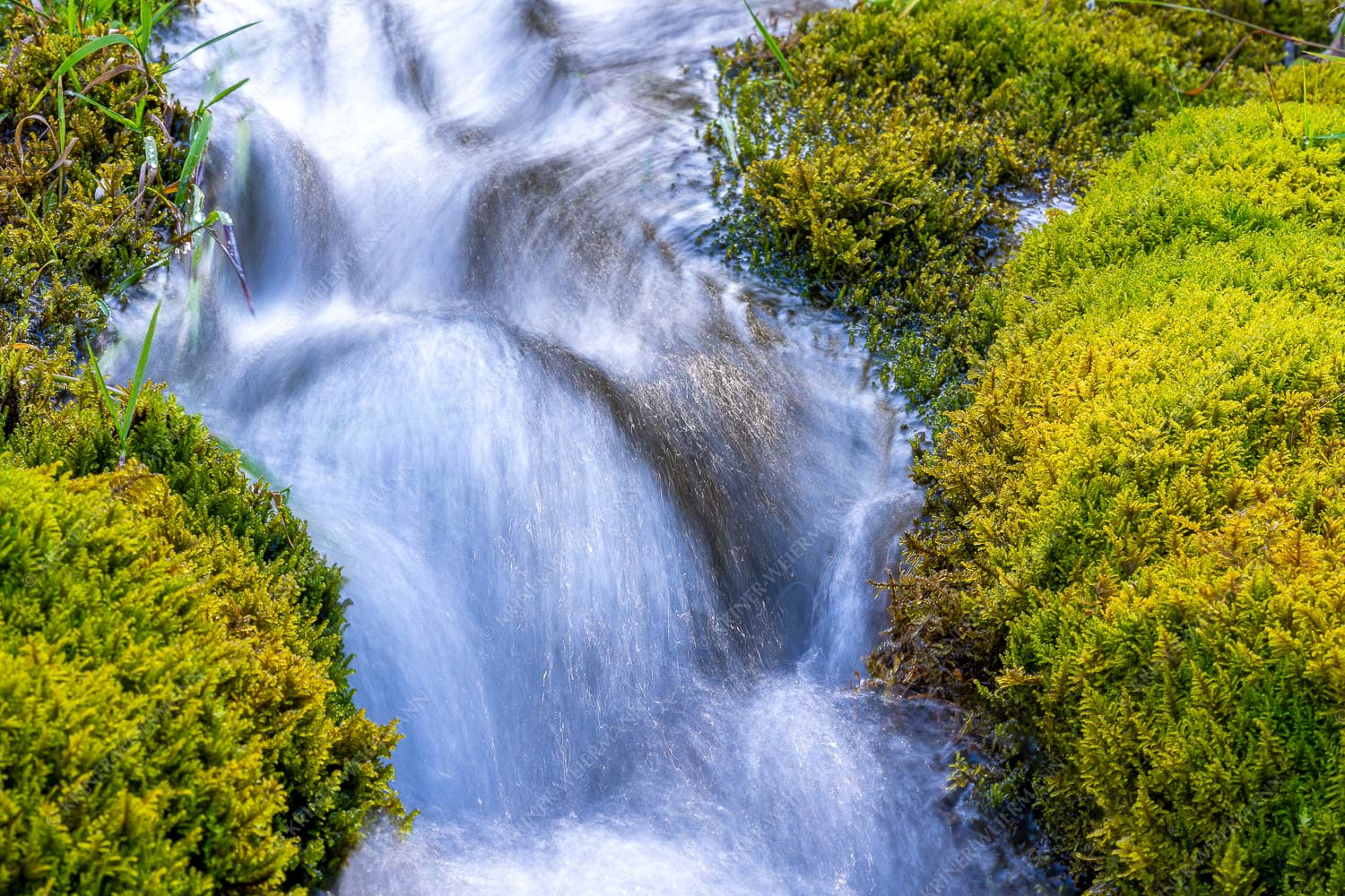 Kleiner Quellbach im Karwendelgebirge