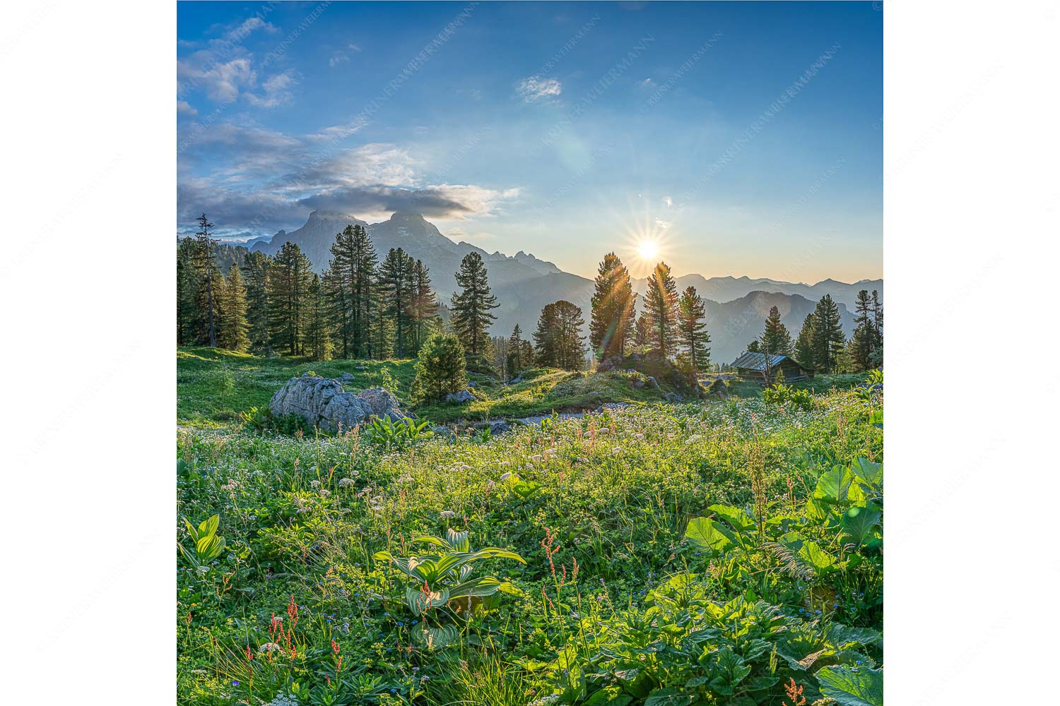 Frühling am Schachen – Seitenverhältnis 1:1 — Sonnenuntergang im Wettersteingebirge Die letzten Sonnenstrahlen wärmen noch die Almwiesen rund um das Schachenschloss