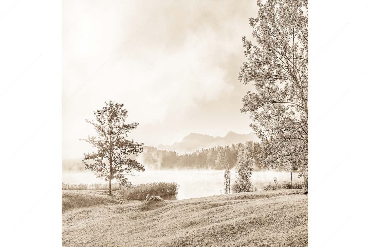 Frühnebel – Seitenverhältnis 1:1 — Geroldsee mit Karwendel Morgenstimmung am Geroldsee mit Blick zum Karwendelgebirge