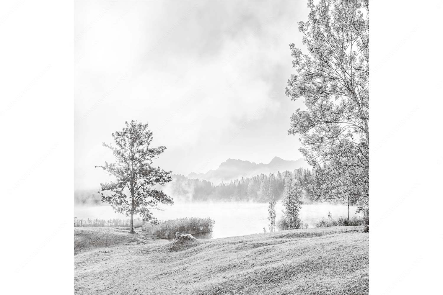 Frühnebel – Seitenverhältnis 1:1 — Geroldsee mit Karwendel Morgenstimmung am Geroldsee mit Blick zum Karwendelgebirge