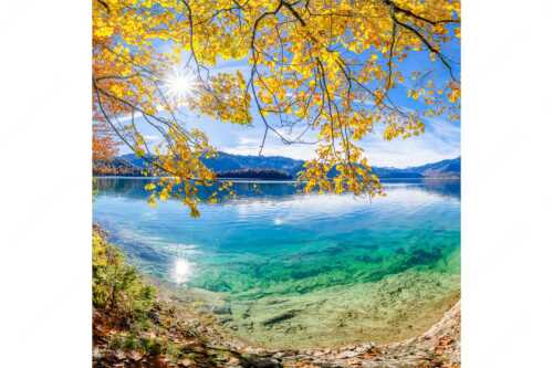 Mit buntem Buchenlaub und dem türkisblauem Walchensee entsteht ein einzigartiges Farbenspiel - Goldregen - Seitenverhältnis 1:1 - Herbststimmung am Walchensee - weitere Infos unter https://www.kriner-weiermann.de