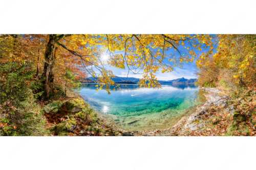 Mit buntem Buchenlaub und dem türkisblauem Walchensee entsteht ein einzigartiges Farbenspiel - Goldregen - Seitenverhältnis 2,5:1 - Herbststimmung am Walchensee - weitere Infos unter https://www.kriner-weiermann.de