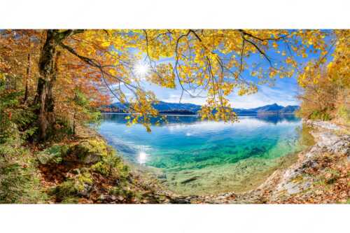 Mit buntem Buchenlaub und dem türkisblauem Walchensee entsteht ein einzigartiges Farbenspiel - Goldregen - Seitenverhältnis 2:1 - Herbststimmung am Walchensee - weitere Infos unter https://www.kriner-weiermann.de