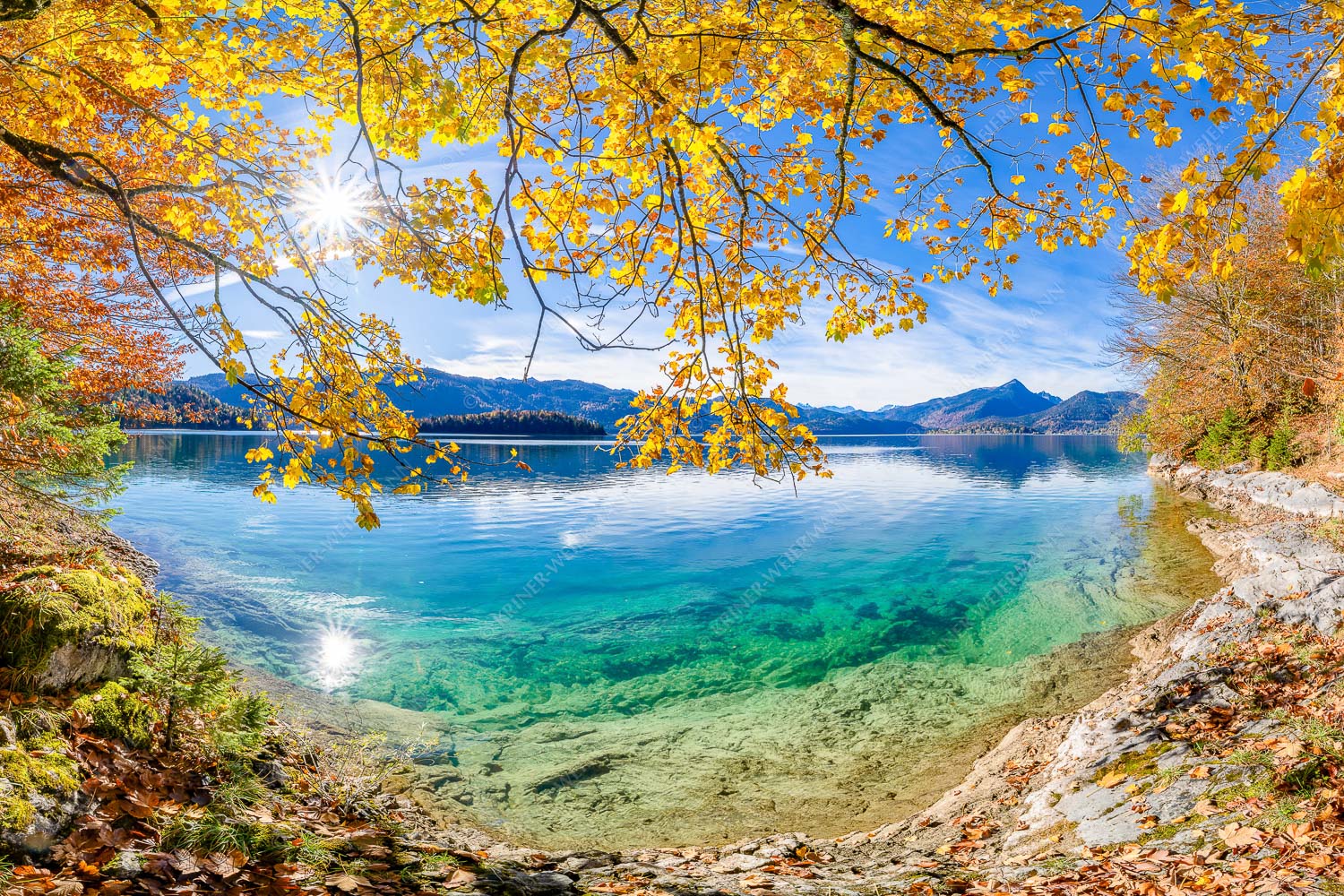 Goldregen – Seitenverhältnis 3:2 — Herbststimmung am Walchensee Mit buntem Buchenlaub und dem türkisblauem Walchensee entsteht ein einzigartiges Farbenspiel