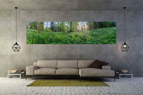 Dichtes Grün im Frühlinng an den Uferregionen von Barmsee und Grubsee - Grüner Teppich - Größe ca. 320x80cm, Seitenverhältnis 4:1 - Morgenstimmung am Barmsee - weitere Infos unter https://www.kriner-weiermann.de