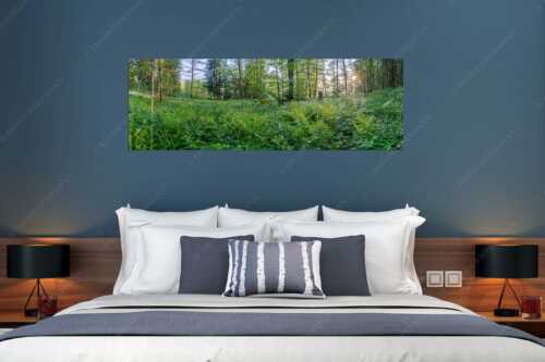 Dichtes Grün im Frühlinng an den Uferregionen von Barmsee und Grubsee - Grüner Teppich - Größe ca. 180x60cm, Seitenverhältnis 3:1 - Morgenstimmung am Barmsee - weitere Infos unter https://www.kriner-weiermann.de